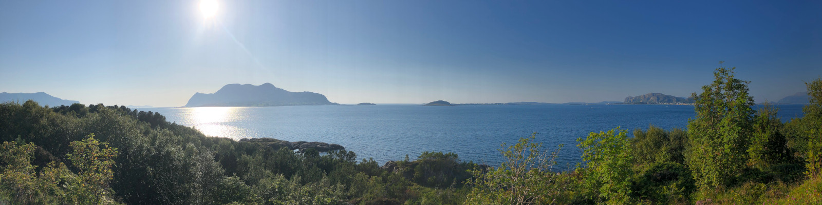 Plenty of fish near Ålesund