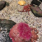 Impressions from the aquarium