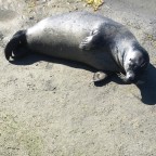 Impressions from the aquarium