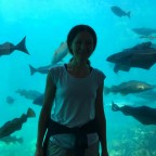 Impressions from the aquarium