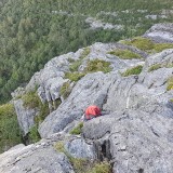 Occasionally we are surprised about the overgrown pitches in this massive wall (Photo: Bernhard)