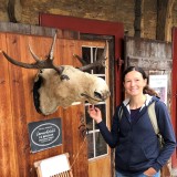 Even an elk deserves a cuddle