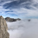 We rise from the fog