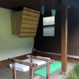 Training site with campus board