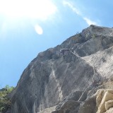 Sigi taking the exam