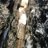 Barbara rappels 50 m into the gap